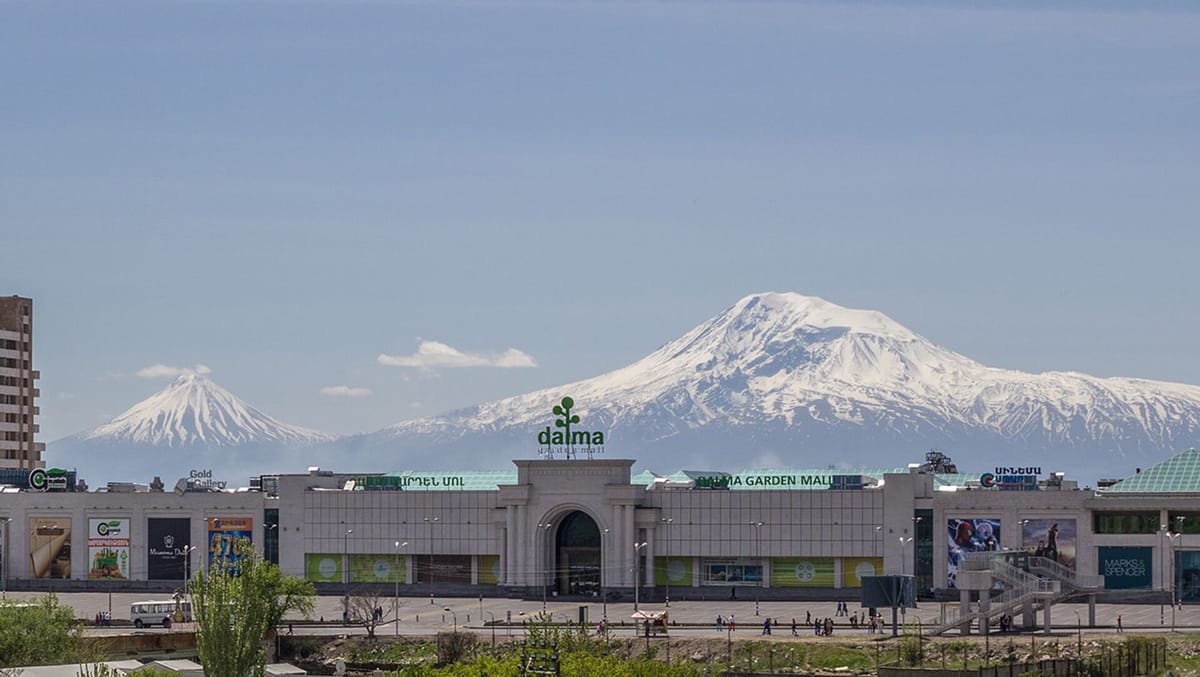 Фискальное сжатие: форензик-аудит алгоритмической и физической ликвидации МСБ в Армении