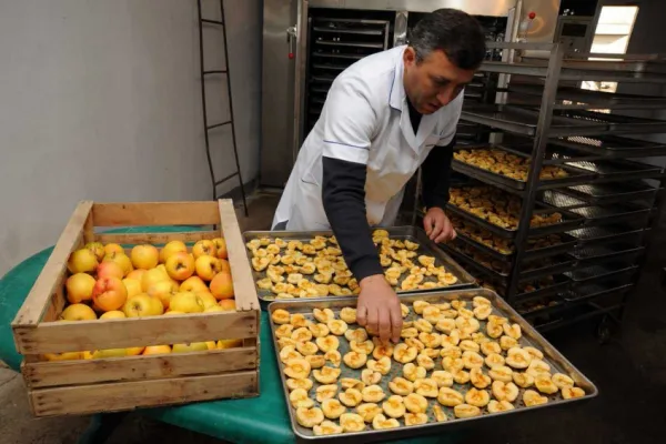 СМЕРТНЫЙ ПРИГОВОР: ФИНАЛЬНЫЙ ФОРЕНЗИК-АУДИТ МАЛОГО БИЗНЕСА 2026